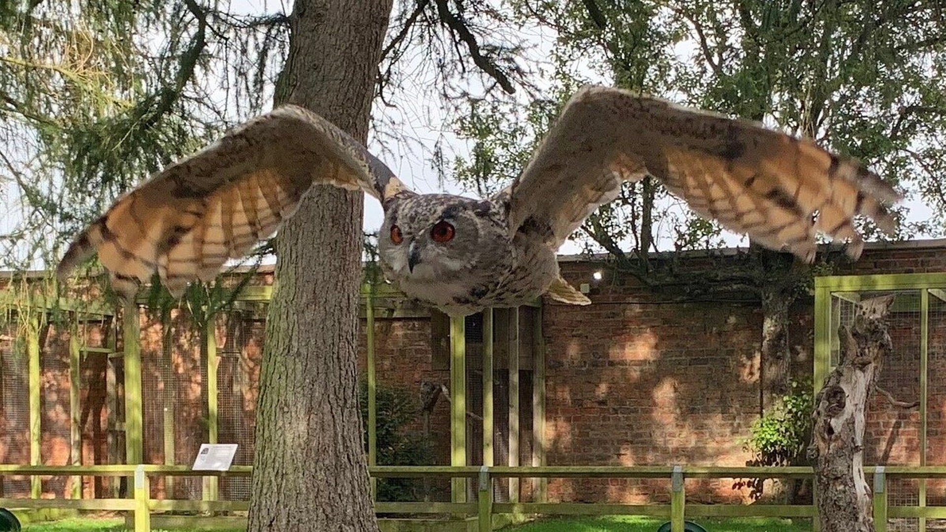 🦅 요크 맹금류 센터 (York Bird of Prey Centre)